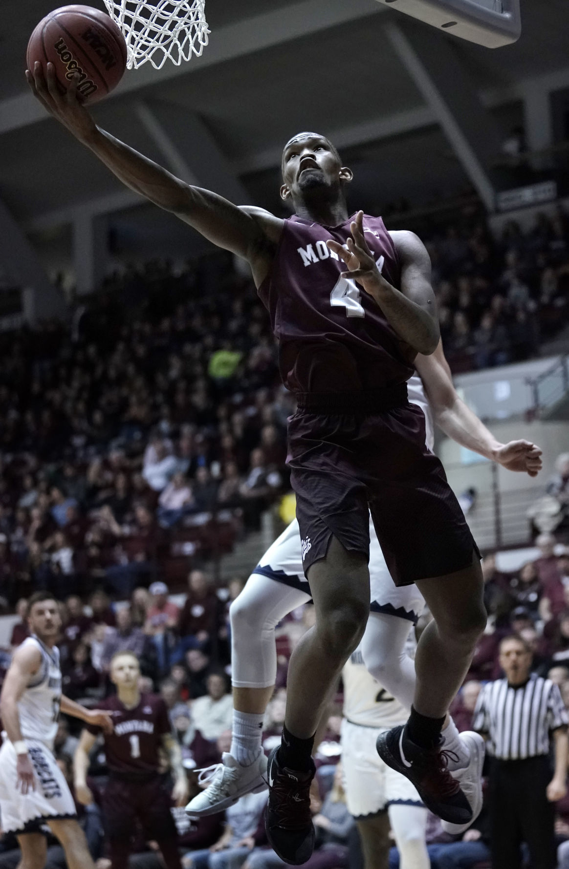 Griz v Cats-1-tm.JPG
